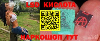 МДПВ Кингисепп