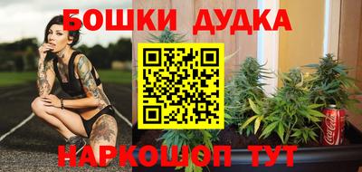 МДПВ Кингисепп
