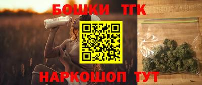МДПВ Кингисепп