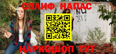 МДПВ Кингисепп
