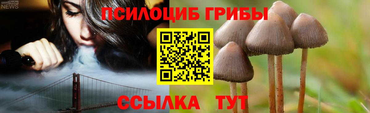 Южноуральск  Галлюциногенные грибы Psilocybe  Вход с VPN 